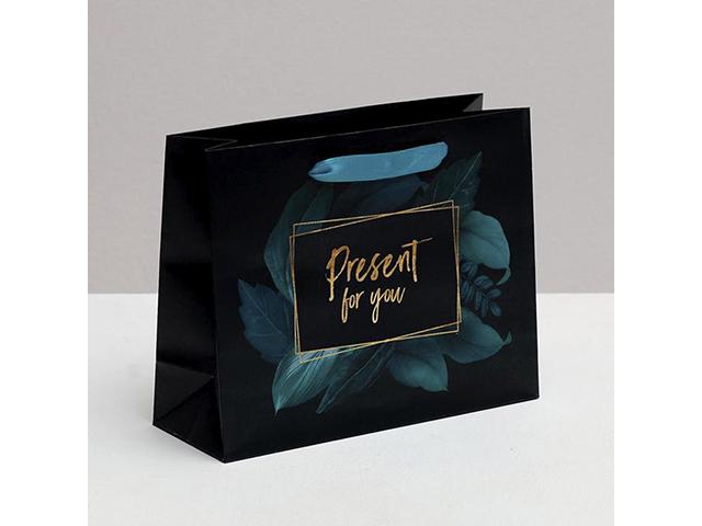 *пакет ламинированный горизонтальный " present", 22 х 17,5 х 8 см. 4766883