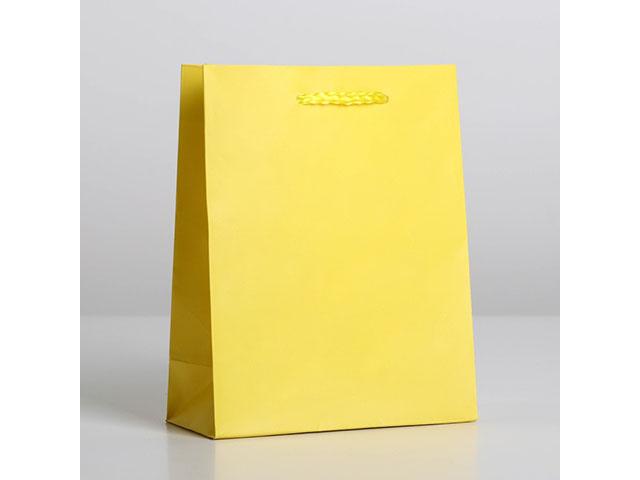 *пакет ламинированный "жёлтый", s 12 х 15 х 5,5 см, 6582778
